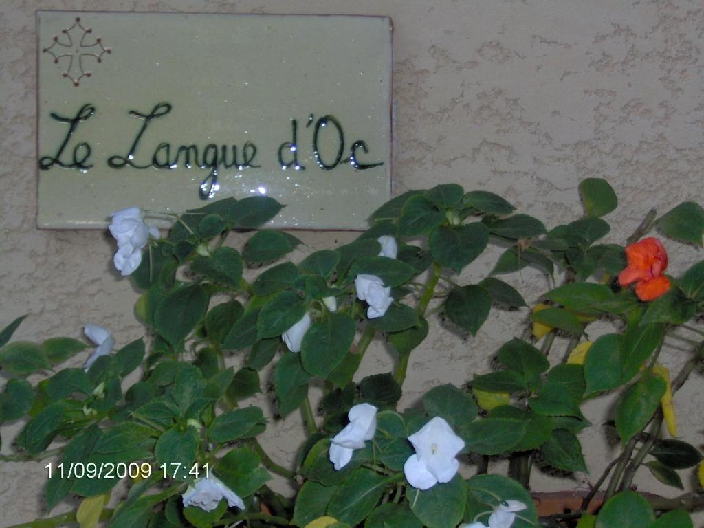 Hotel Le Langue D'Oc Agde Extérieur photo
